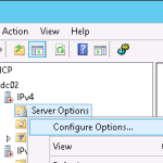 DHCP configure options